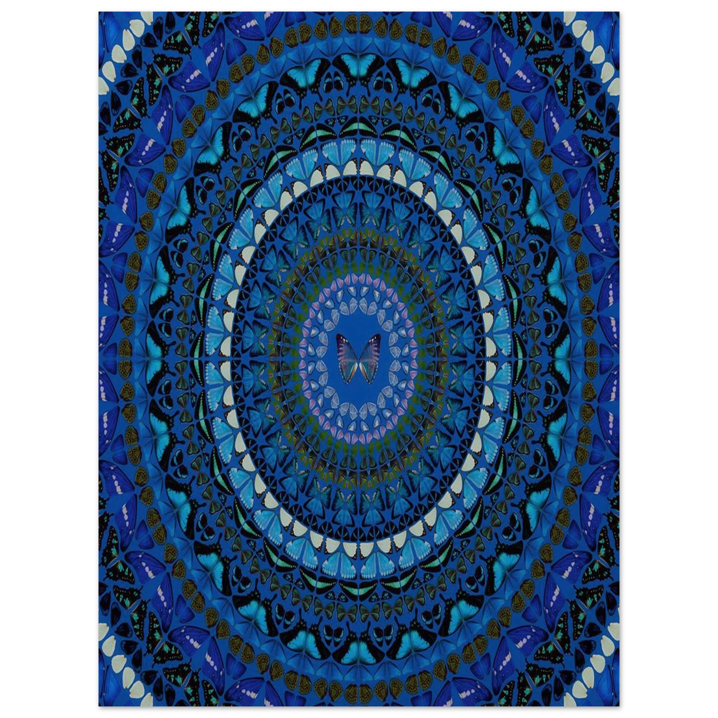 4fcee19c-d503-49f0-93fe-80e66d02495f