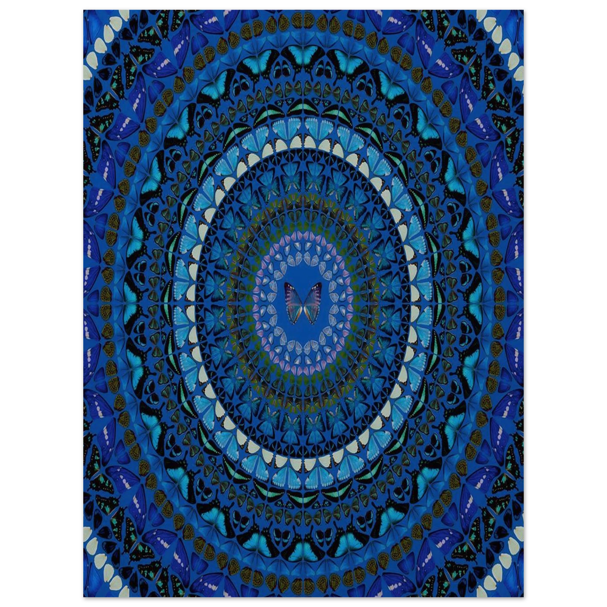 4fcee19c-d503-49f0-93fe-80e66d02495f
