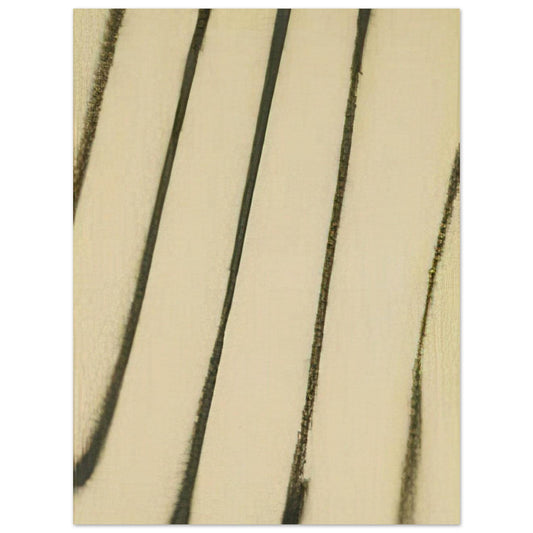 4feb03ab-5e0b-4ac4-bf71-7c14e3ac558a