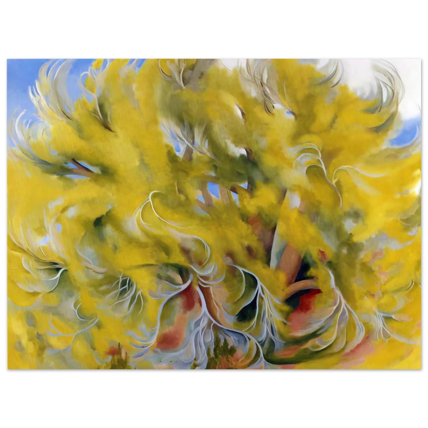 55cfe5eb-7627-49a1-a3af-c49d7c06e46a