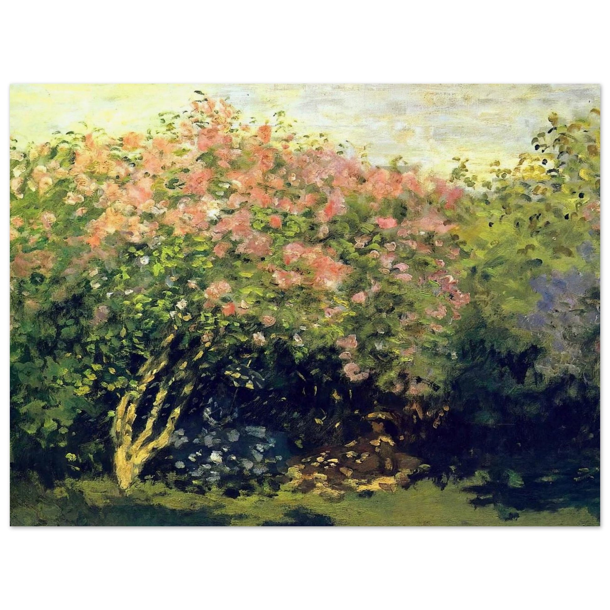 5e62c192-9105-42cf-834e-80d00ce1c1ef