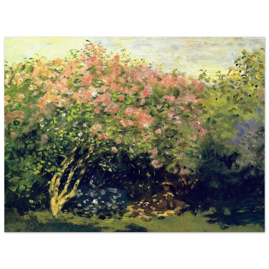 5e62c192-9105-42cf-834e-80d00ce1c1ef