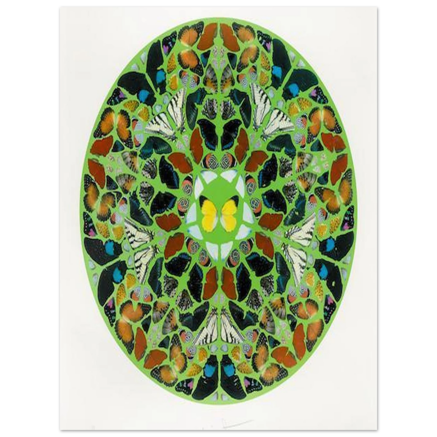 647ce413-eb49-4169-ad73-6457d2980152