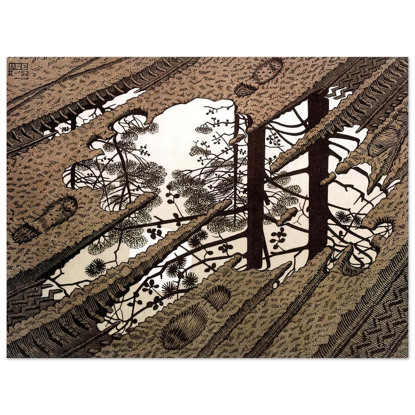 662d5e10-c47f-4a46-8744-21f19c8e8ed1