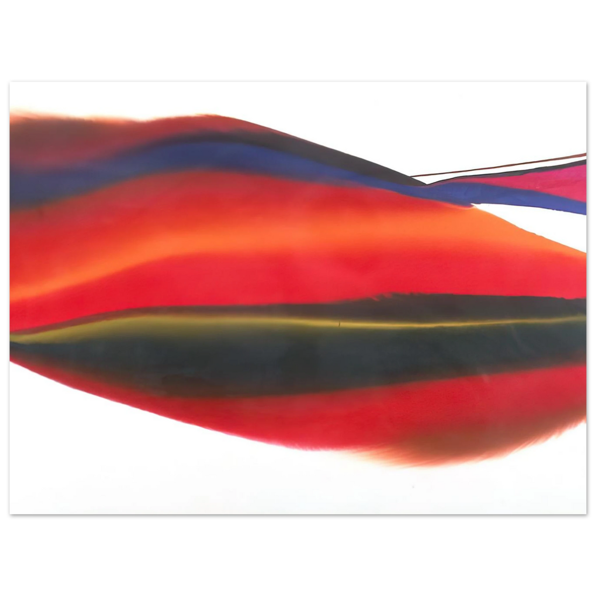 6c7b838a-6f54-4a23-993b-9416696e940d
