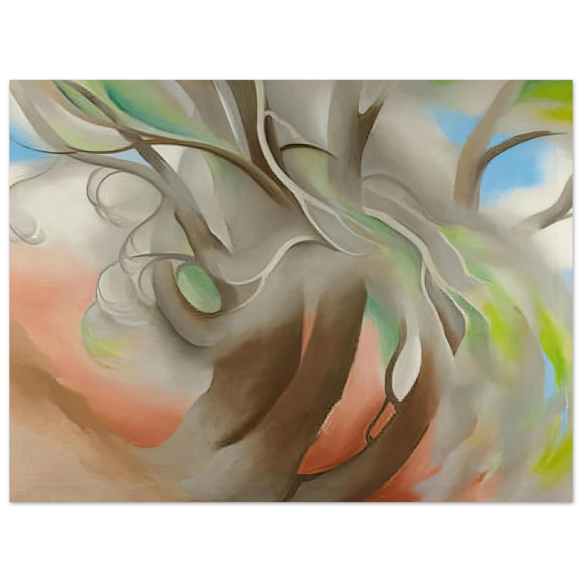 6f06051e-54ef-4d7d-b85c-a38d9c66da32