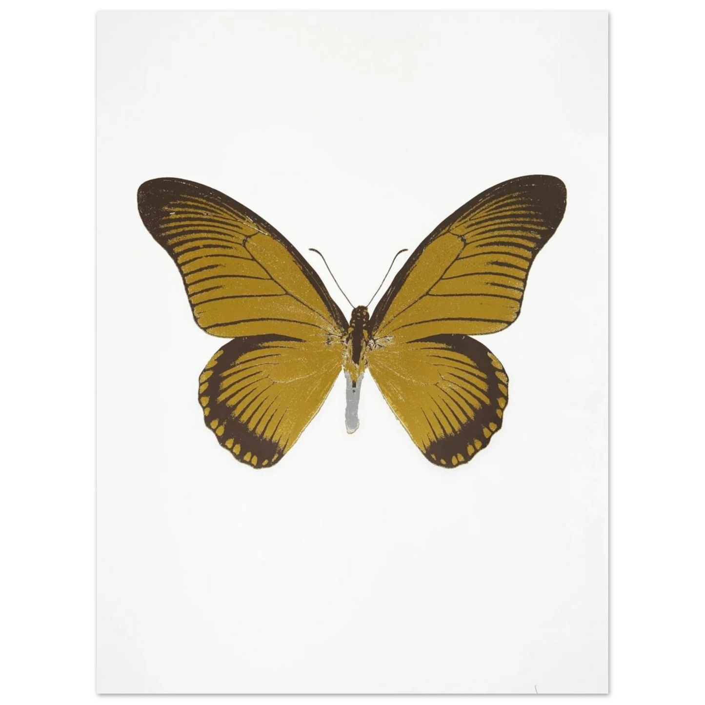 79d762dc-0a0b-4965-9fdc-58d4ab179b15
