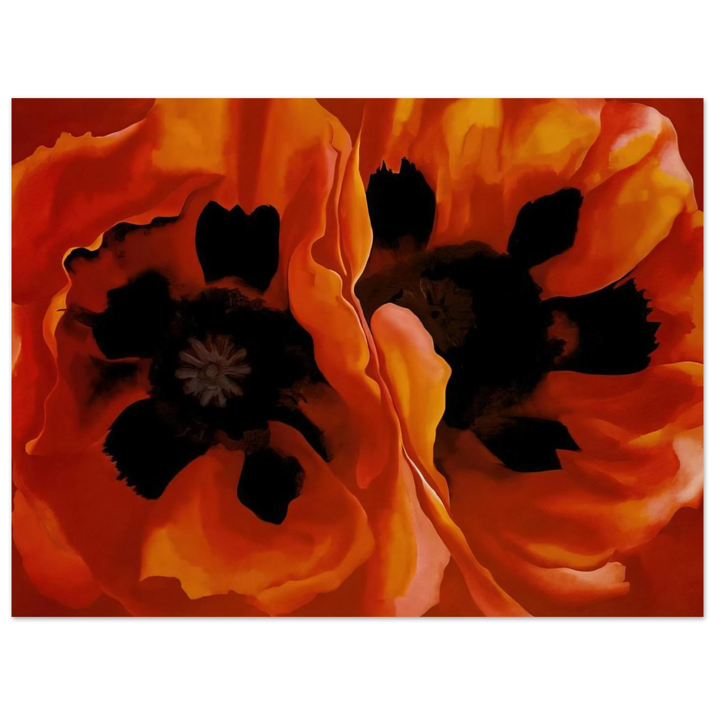 7a3e4241-eeab-4bcc-8cbb-d3d22ec6b1d6
