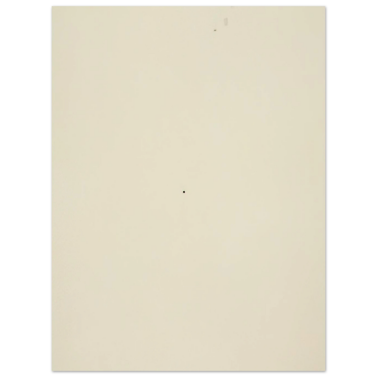 8087f691-c591-4d84-812a-d1081506eeae