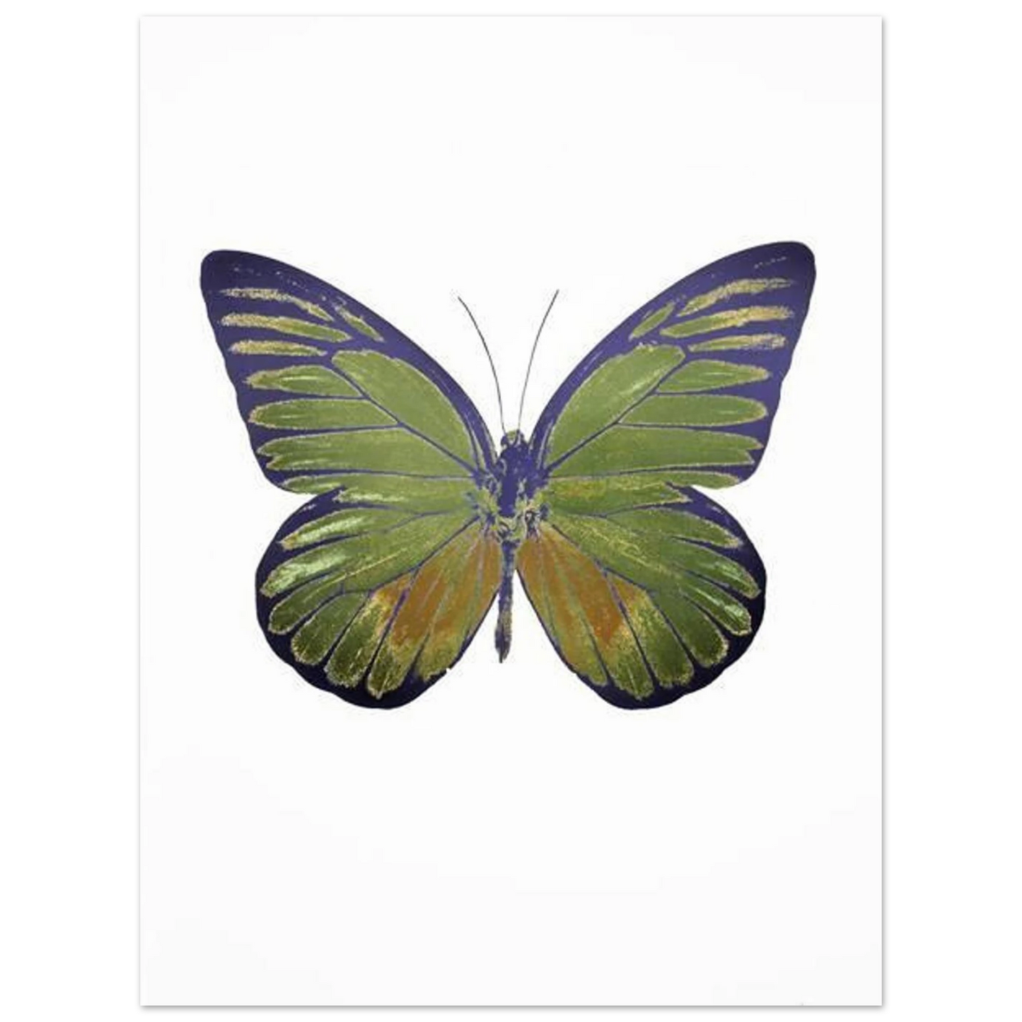 83607fe5-24e7-487c-9e4c-bf048be69991