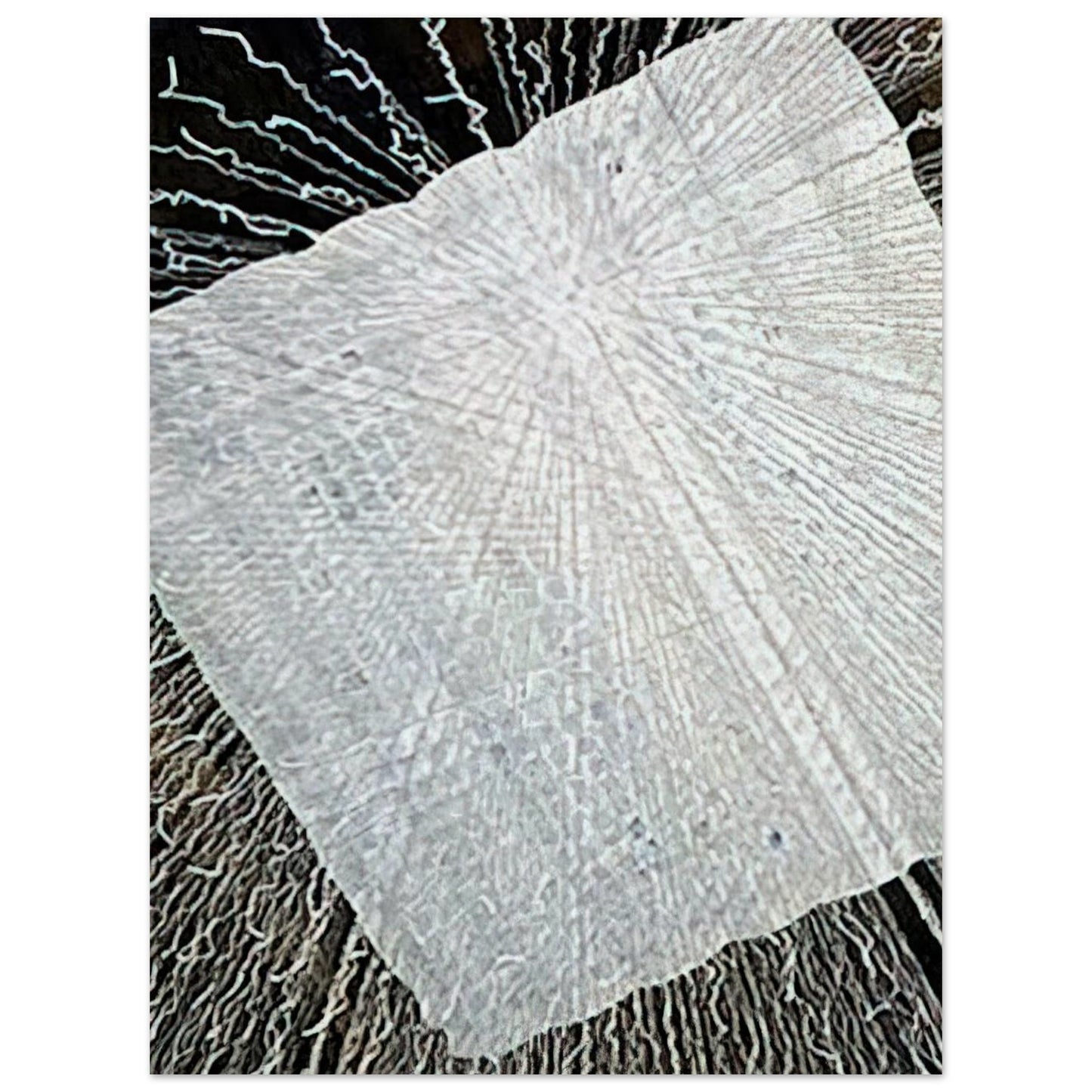 85a7b926-e420-4716-a622-635167ed443e