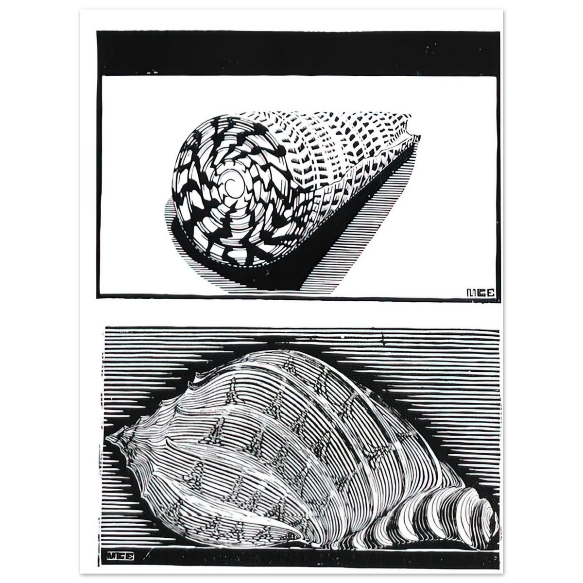 88bd282e-c046-43f7-897a-53d20f335957