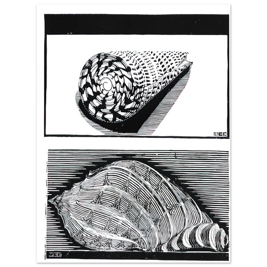 88bd282e-c046-43f7-897a-53d20f335957