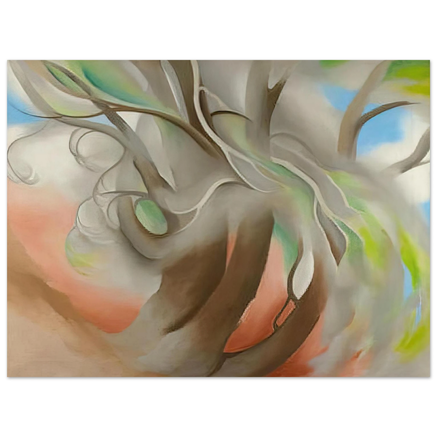 897b5495-a346-4e48-9b92-56f7442ade3f