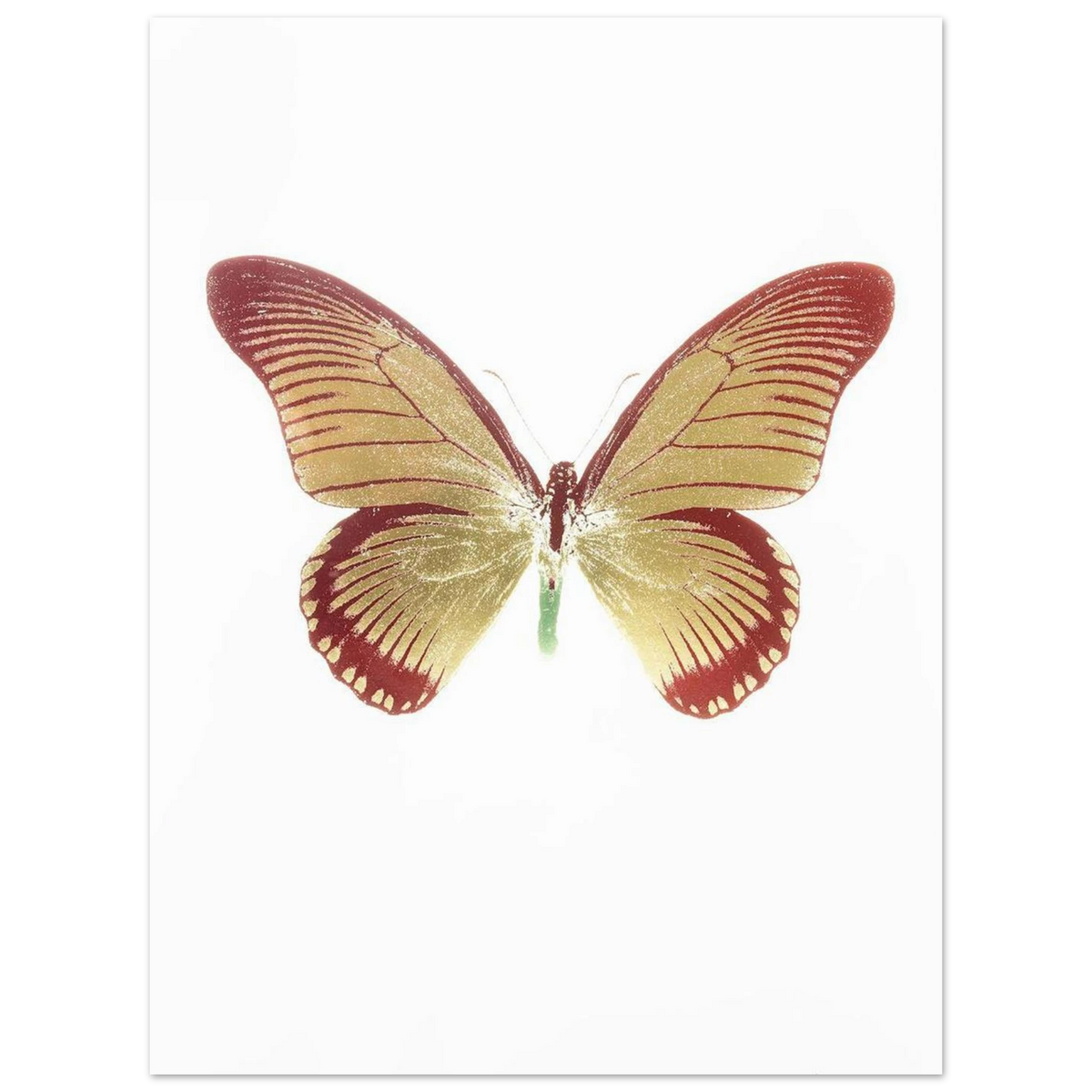 8e87e5fa-af1d-4d59-a5fa-21ab6a1ee7f8