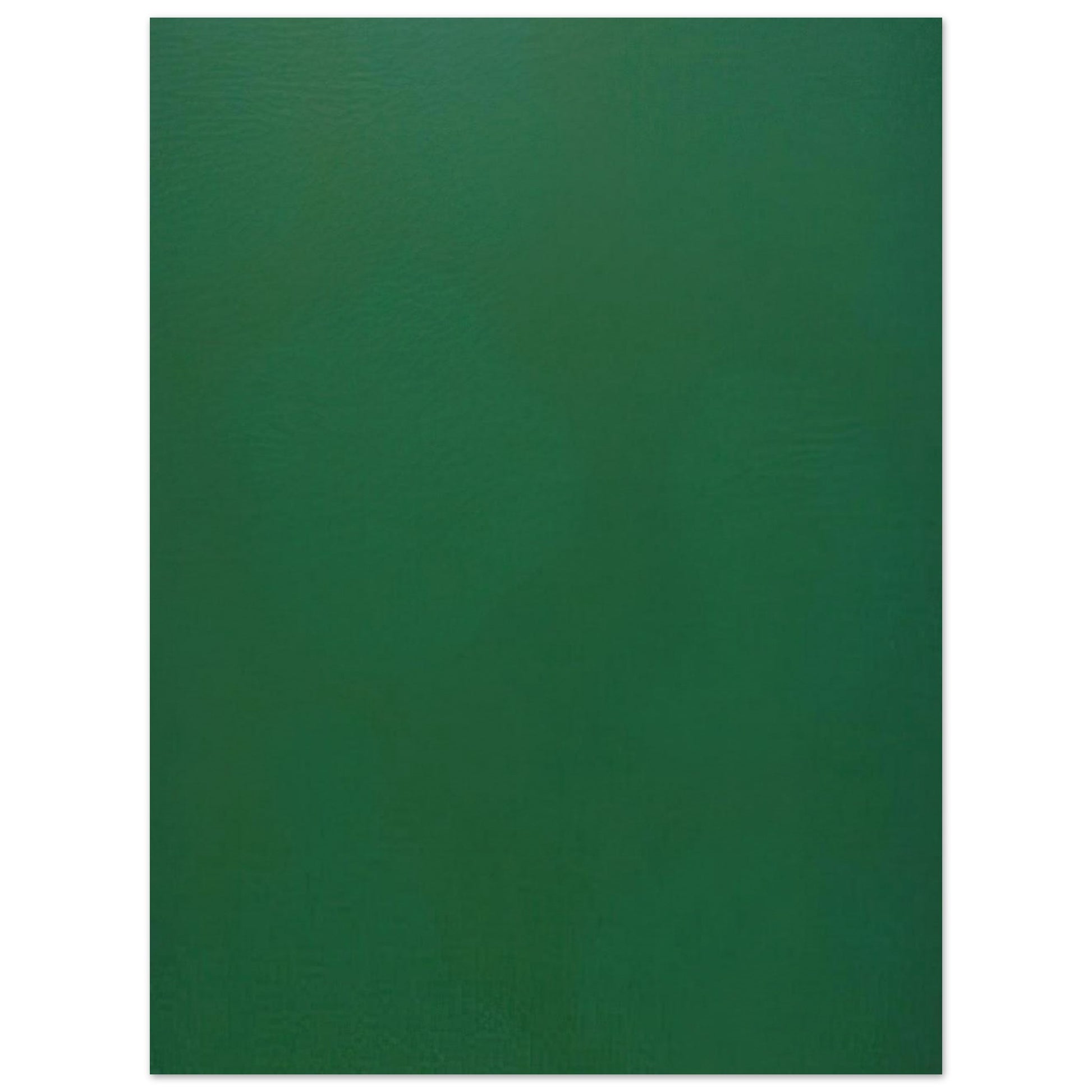 91e732a9-18f5-4238-a2e0-ccfa80bc8035