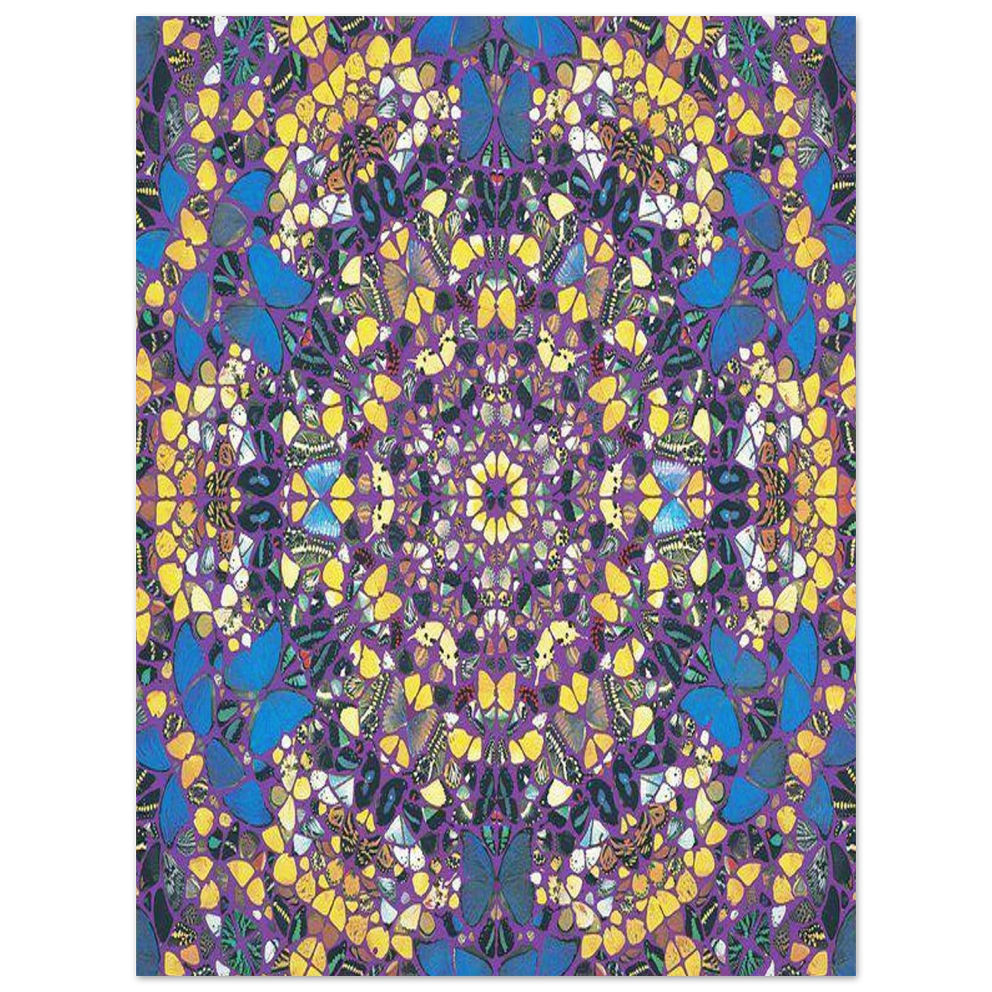 949c8531-e248-4ce5-8198-b592e11d53e2