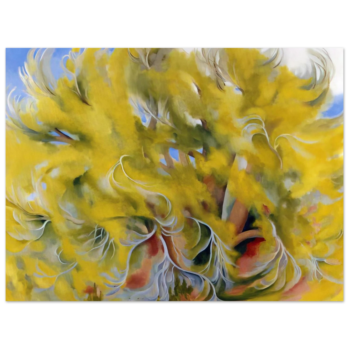 94b32c48-f189-4880-b14f-7a084556f03c