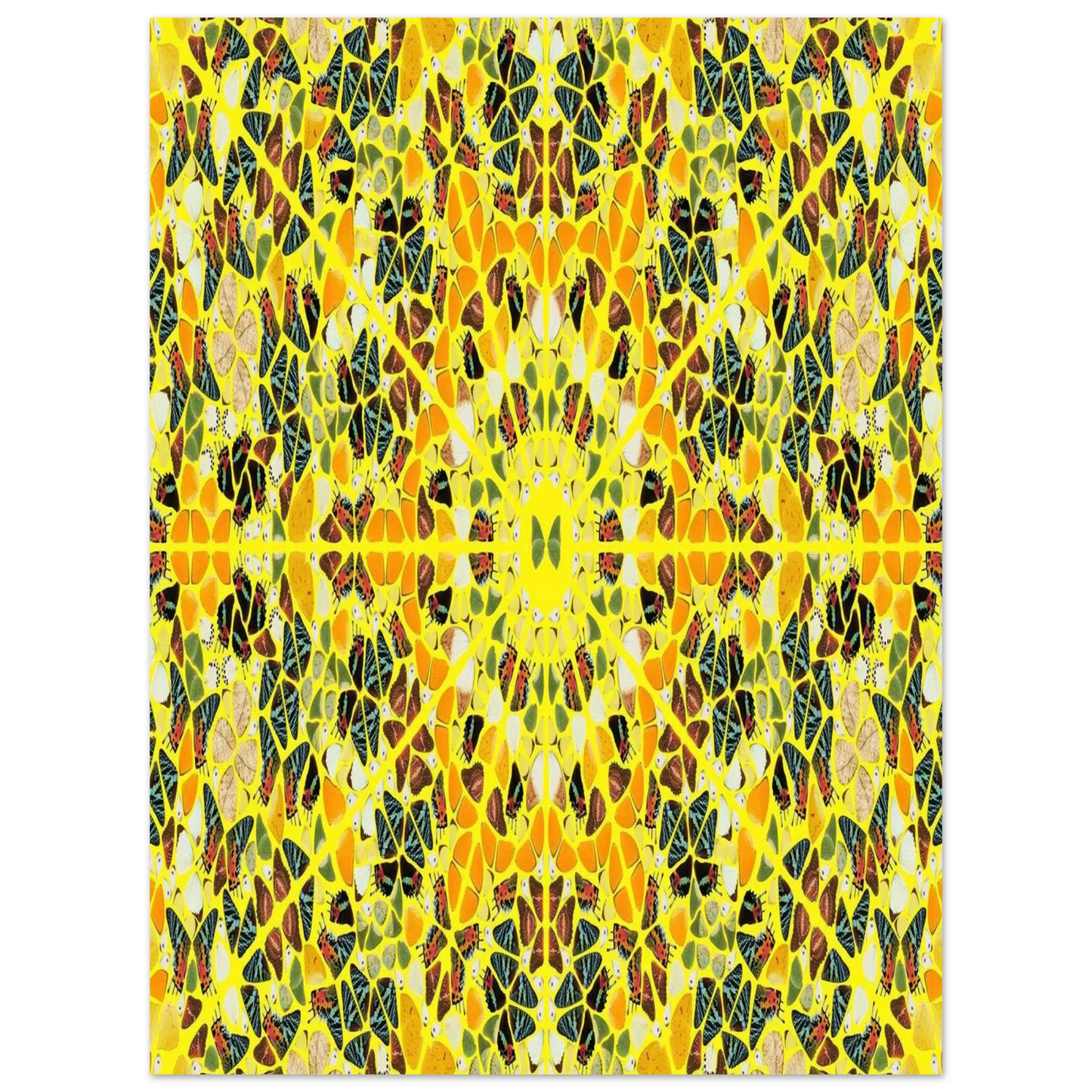 979df204-d5f4-46a3-9398-2c2674257ada