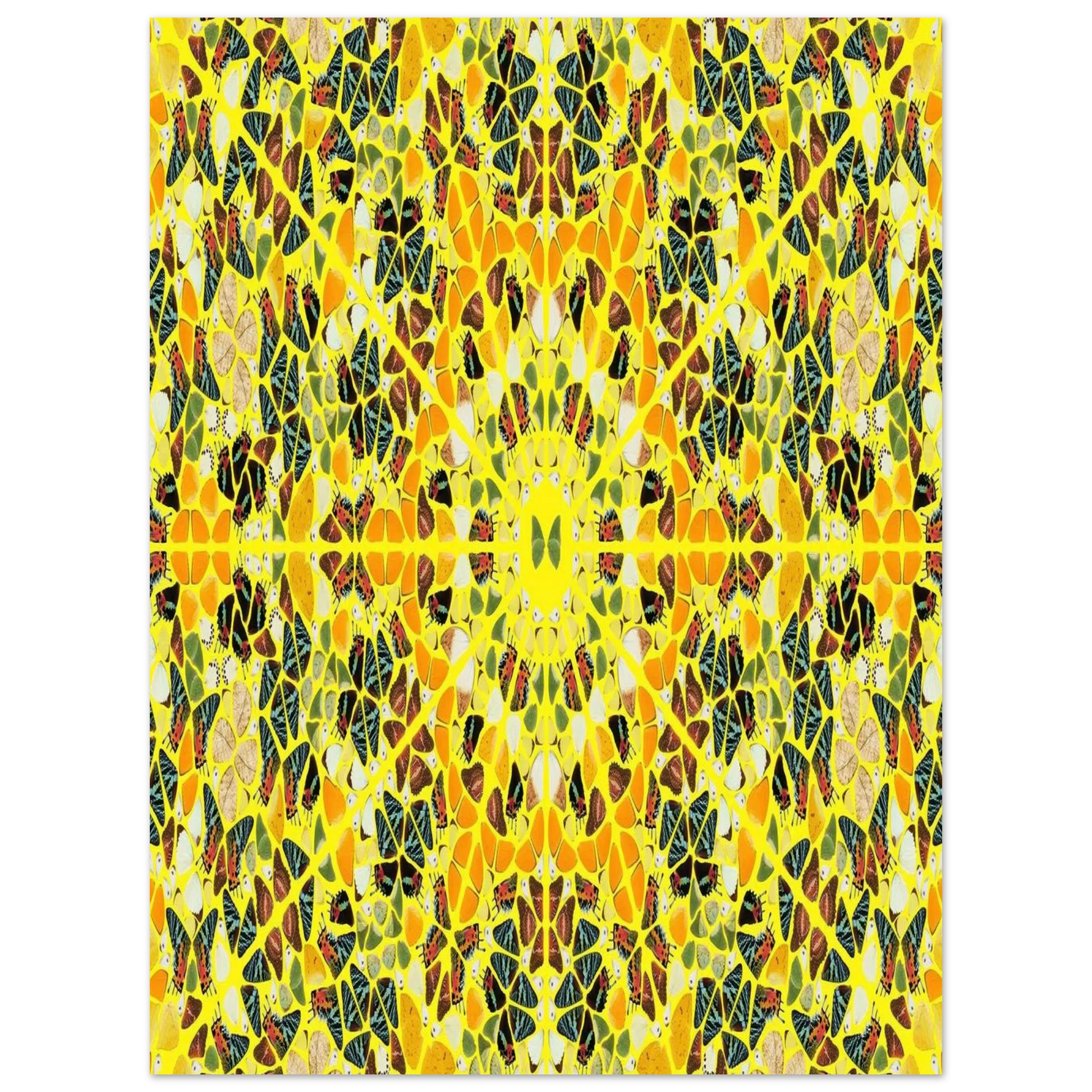 979df204-d5f4-46a3-9398-2c2674257ada