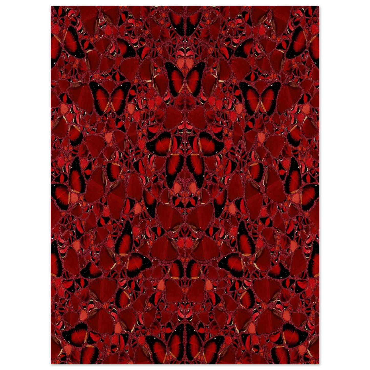 97a9f311-c3be-4ade-b5d1-a0703703bee5