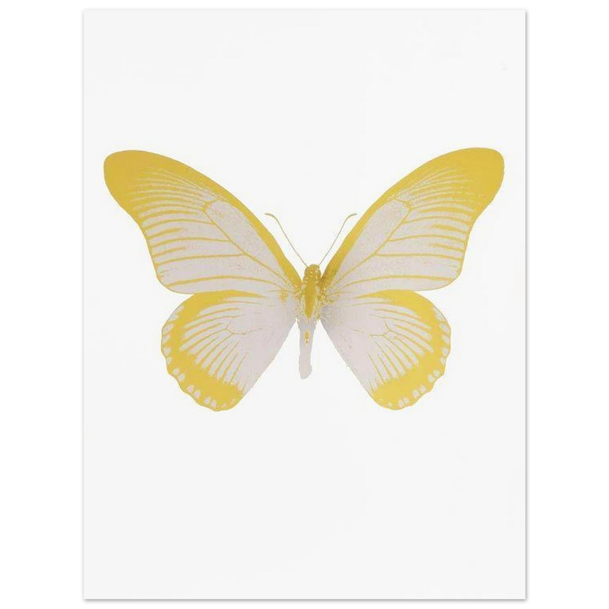 98591115-f097-42a2-83d4-d41e2ff72c52