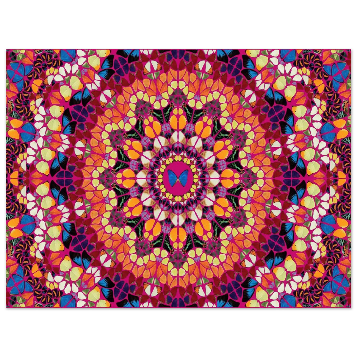 9aded635-353d-41f4-8546-ce3e41433540