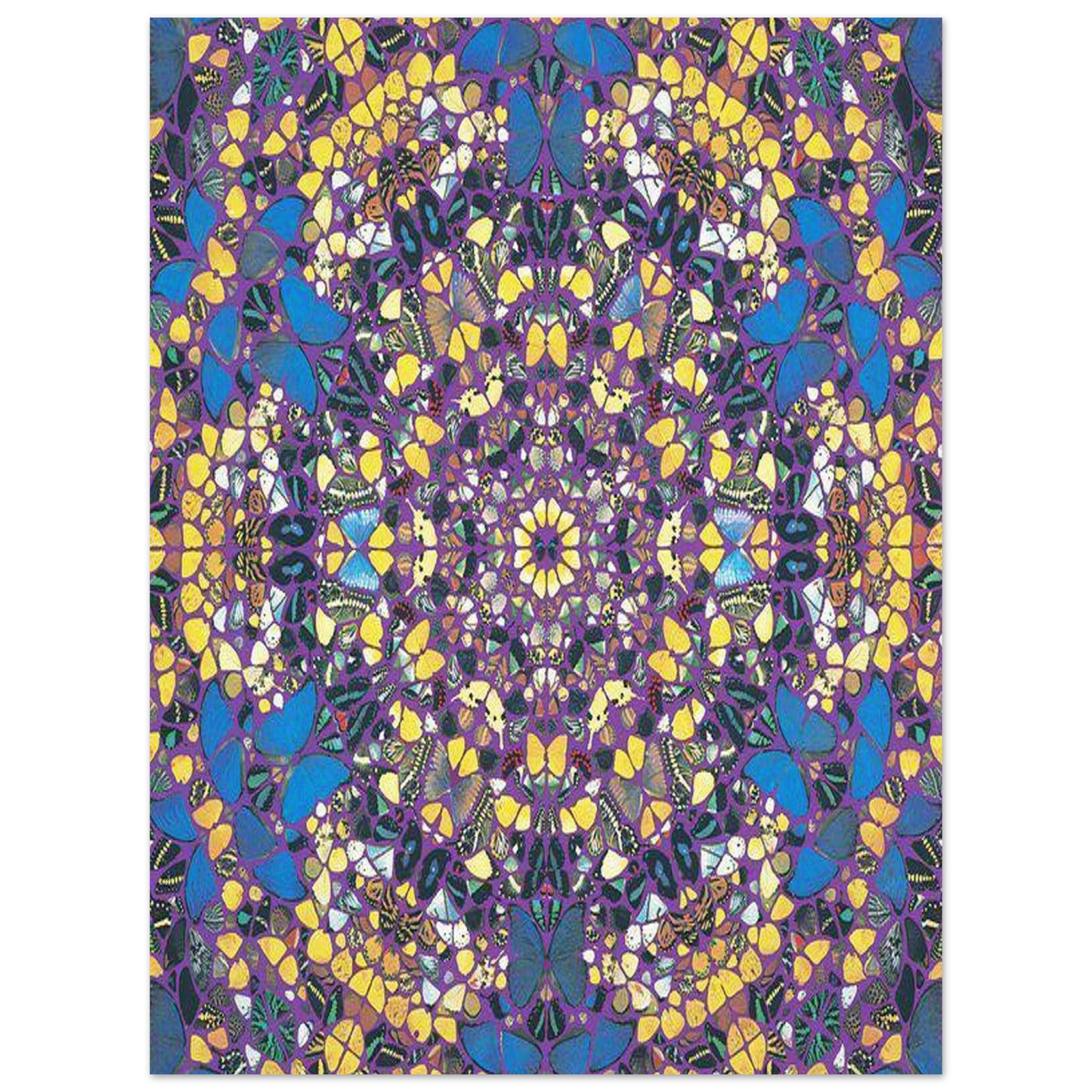 9cf915c6-9ff4-4c96-acc4-757b28b59c97