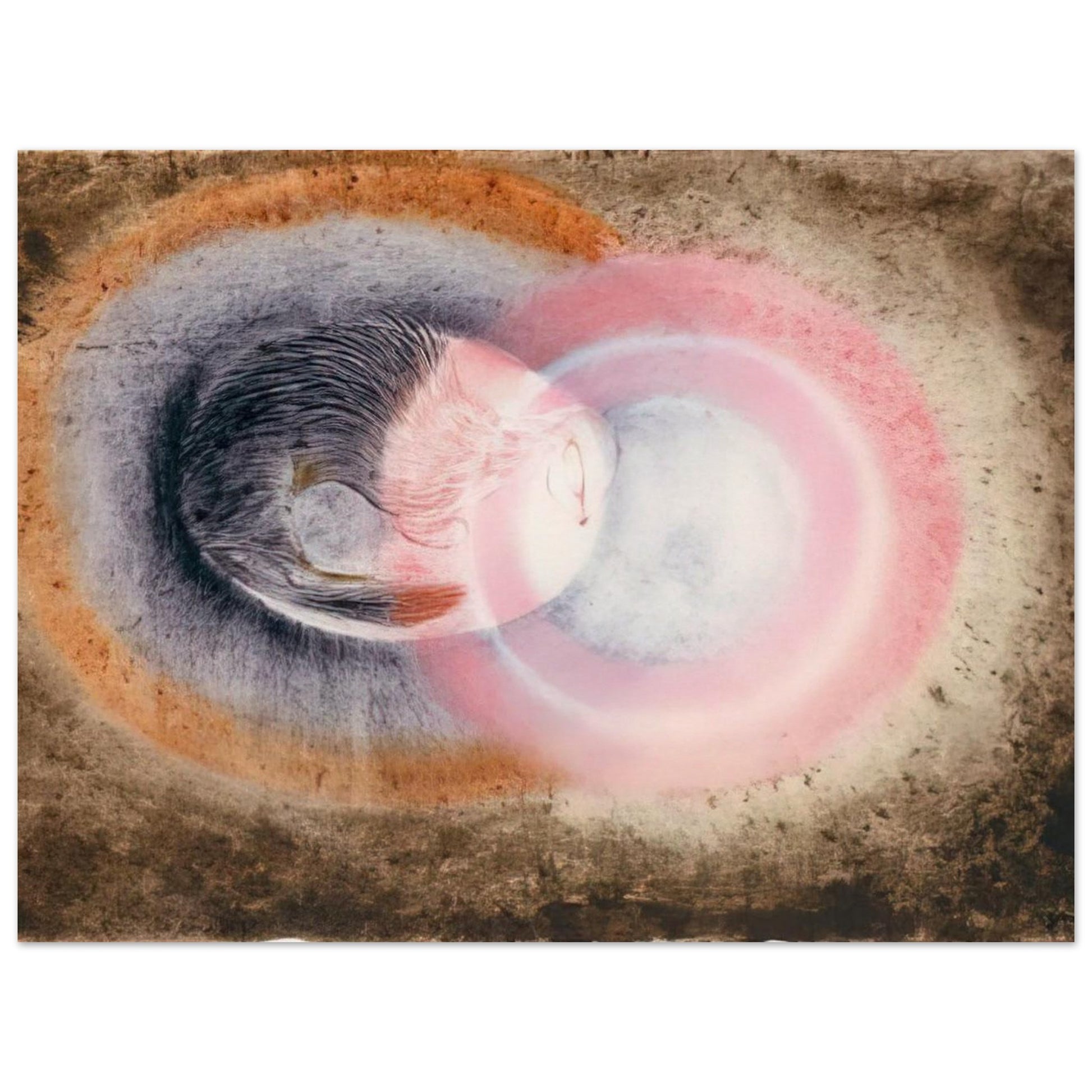 9ecc0c67-50e6-4d38-a484-368764b536d0