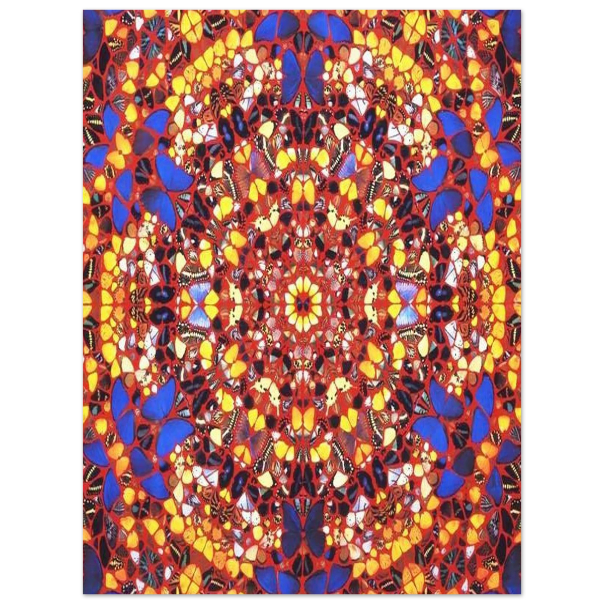 a0b1d0c5-d6b8-4704-b676-95c912ff484f