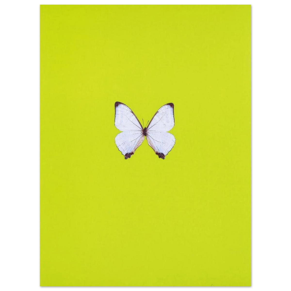a2e2559c-a083-4581-97e2-8558ca0eea42