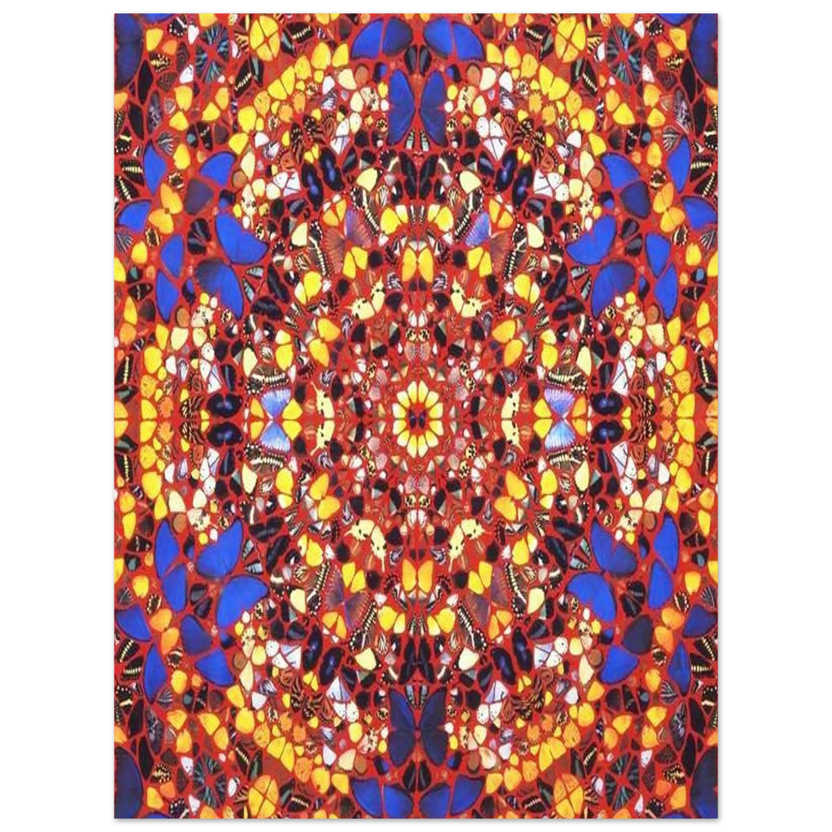 a3496e56-b18a-4c1b-a180-77e5638462ae
