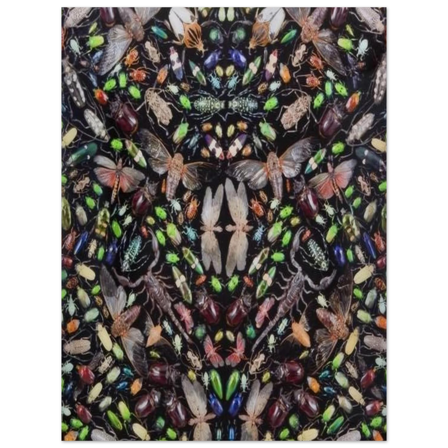 a4a00cc3-d14a-4c08-b9af-675d51d29cc6