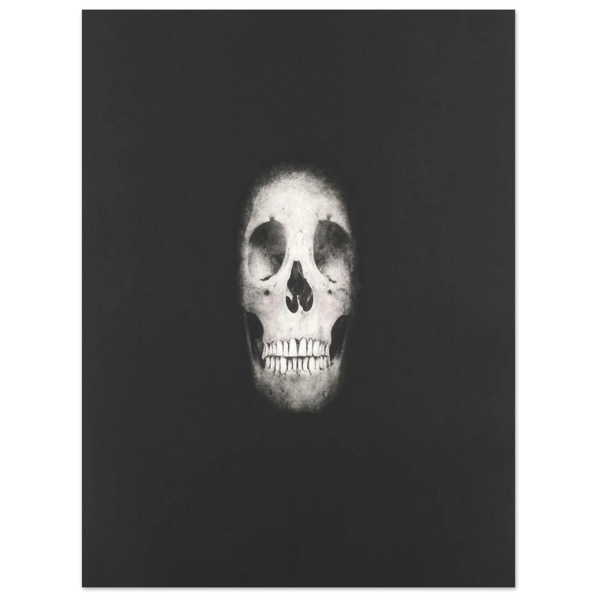 a859a8d6-ddd6-418b-9c3a-d5eae3da3d1d