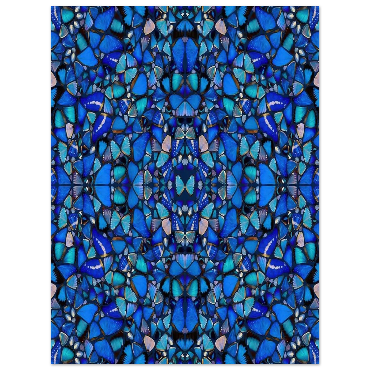 a88d6e3a-f4e3-4762-b4dd-5c501d9ffc58