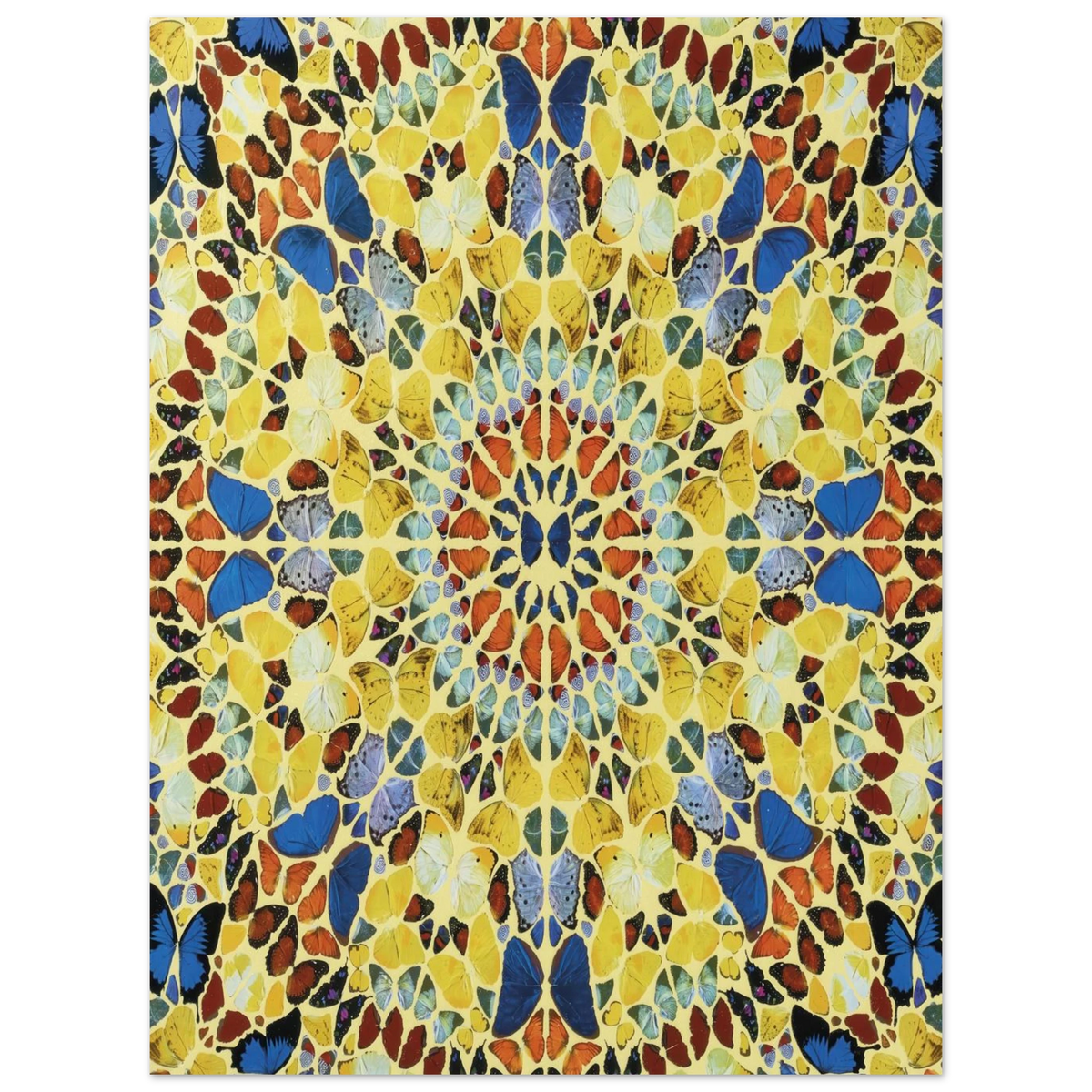 af2354d7-6bfd-4e29-a35e-0ed0d3e53fc2