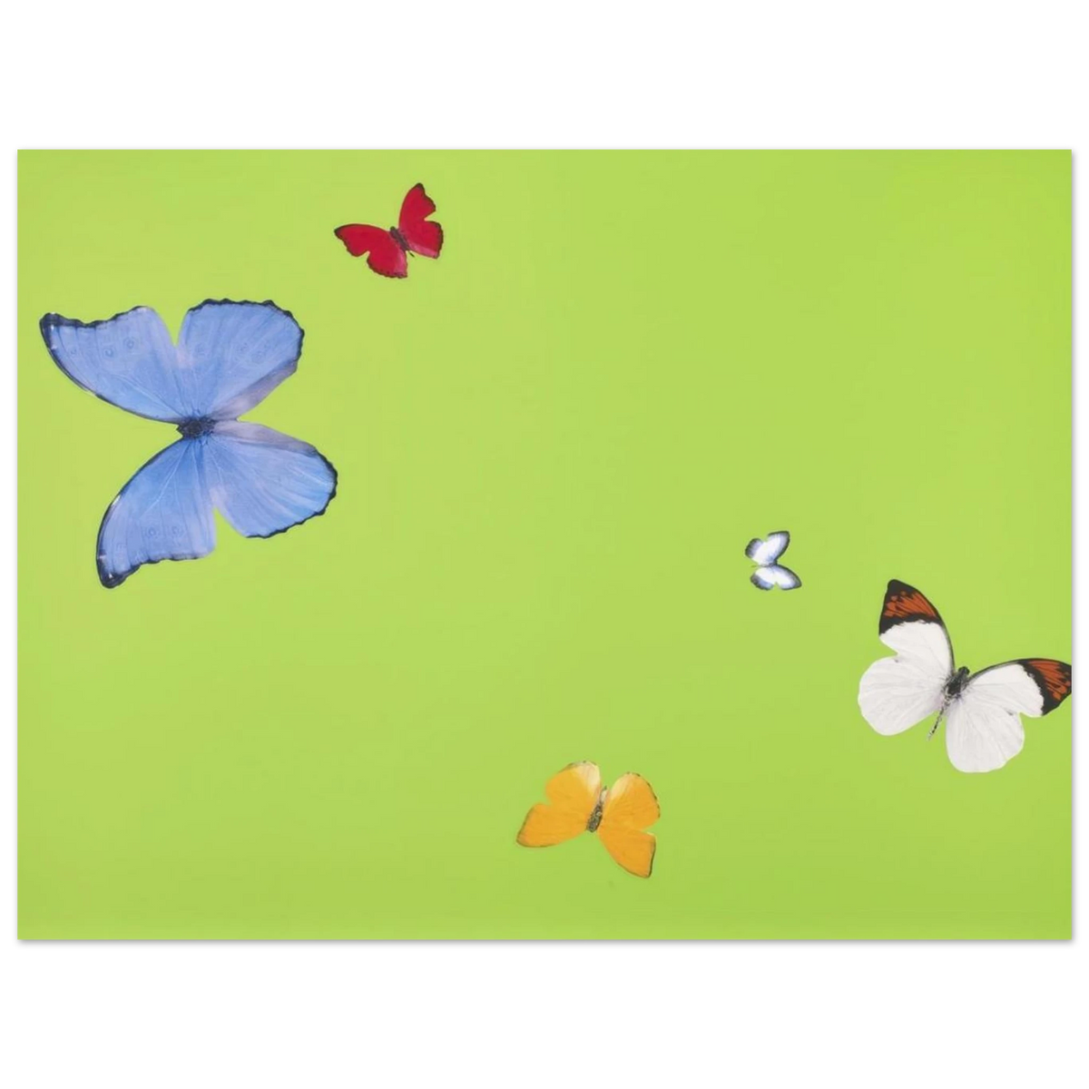 b3858ee1-419e-4220-8b1e-d6b23af50442