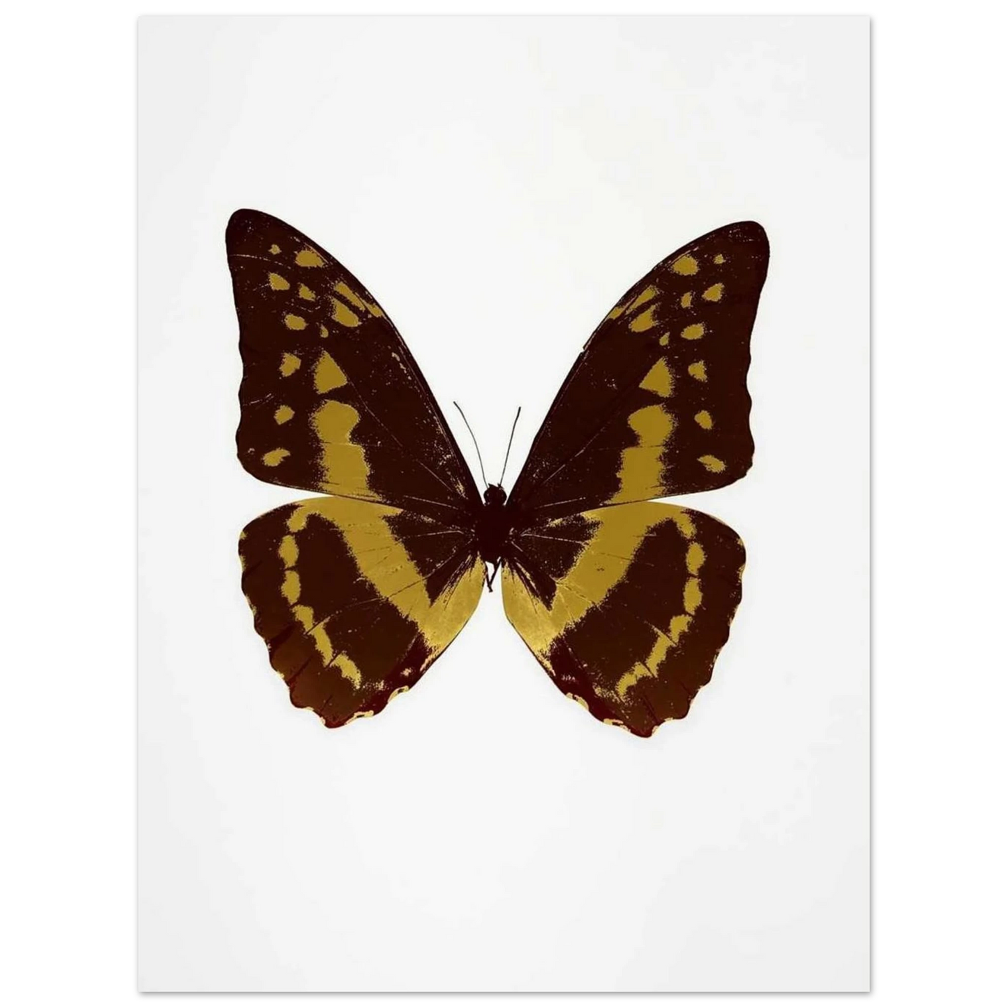 b4266267-344d-44c2-a93b-0bf0fd35c1e4