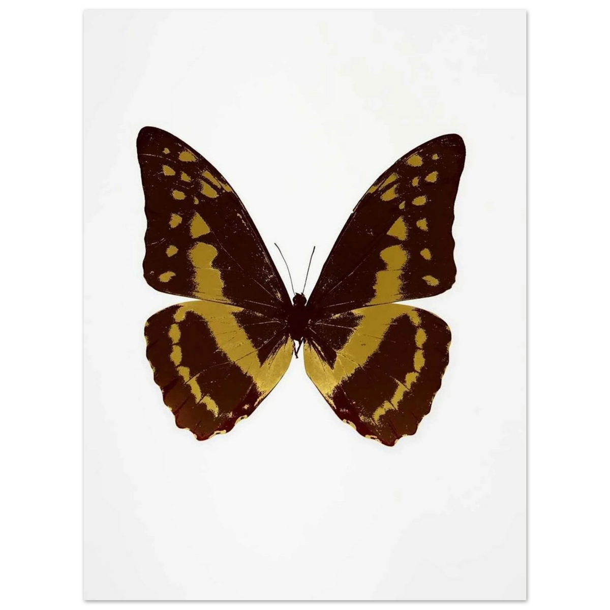 b4266267-344d-44c2-a93b-0bf0fd35c1e4