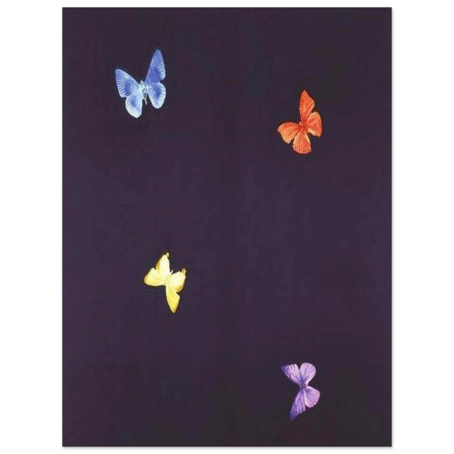 b4344b4b-f8f9-4bf1-806f-ae3e153640bb