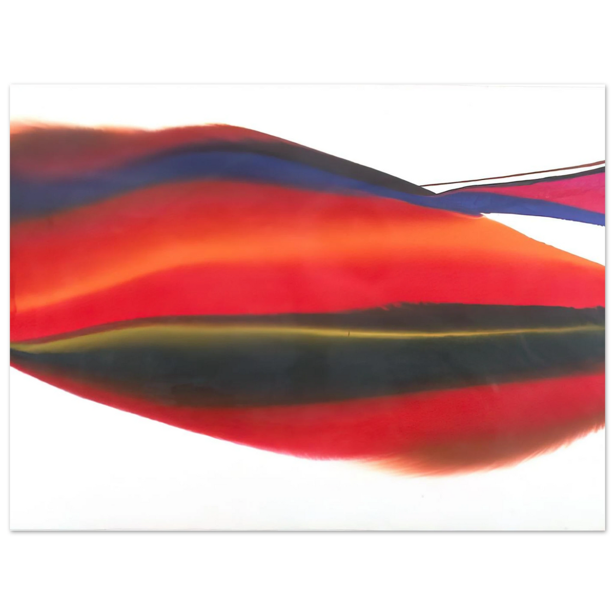 b6d93bd8-e38e-4c56-969a-5cb21d2a030b