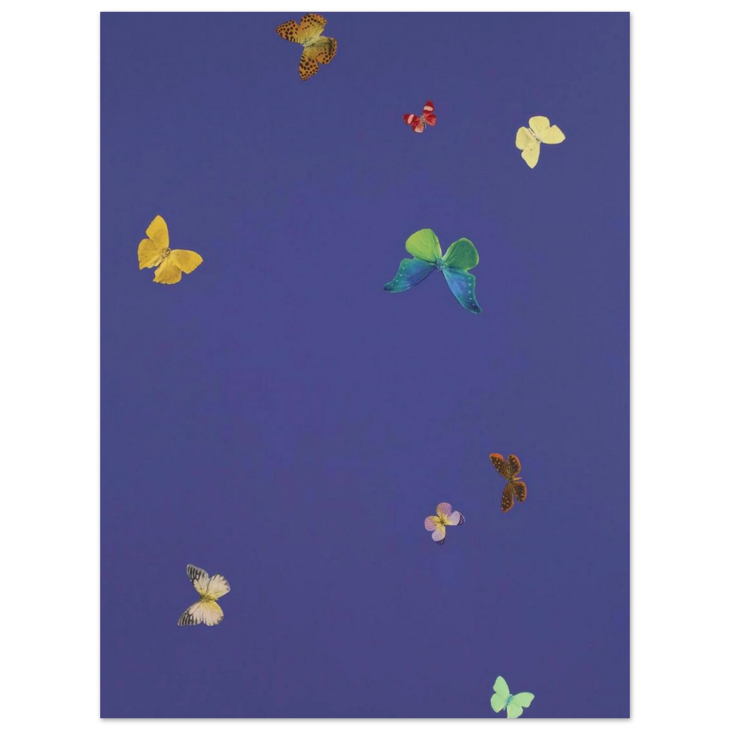 b6f85930-e286-4b35-9f97-a2ce89179211