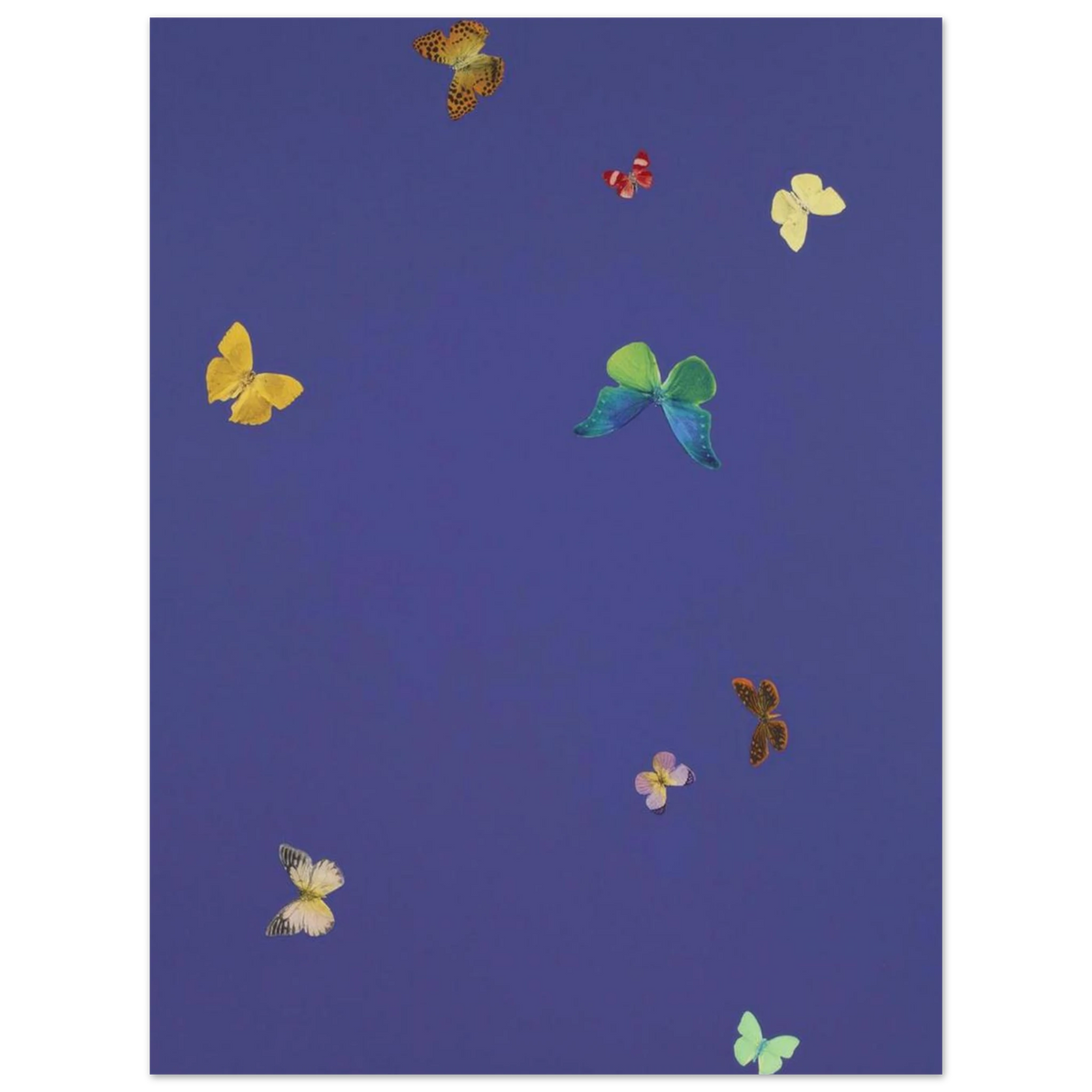 b6f85930-e286-4b35-9f97-a2ce89179211