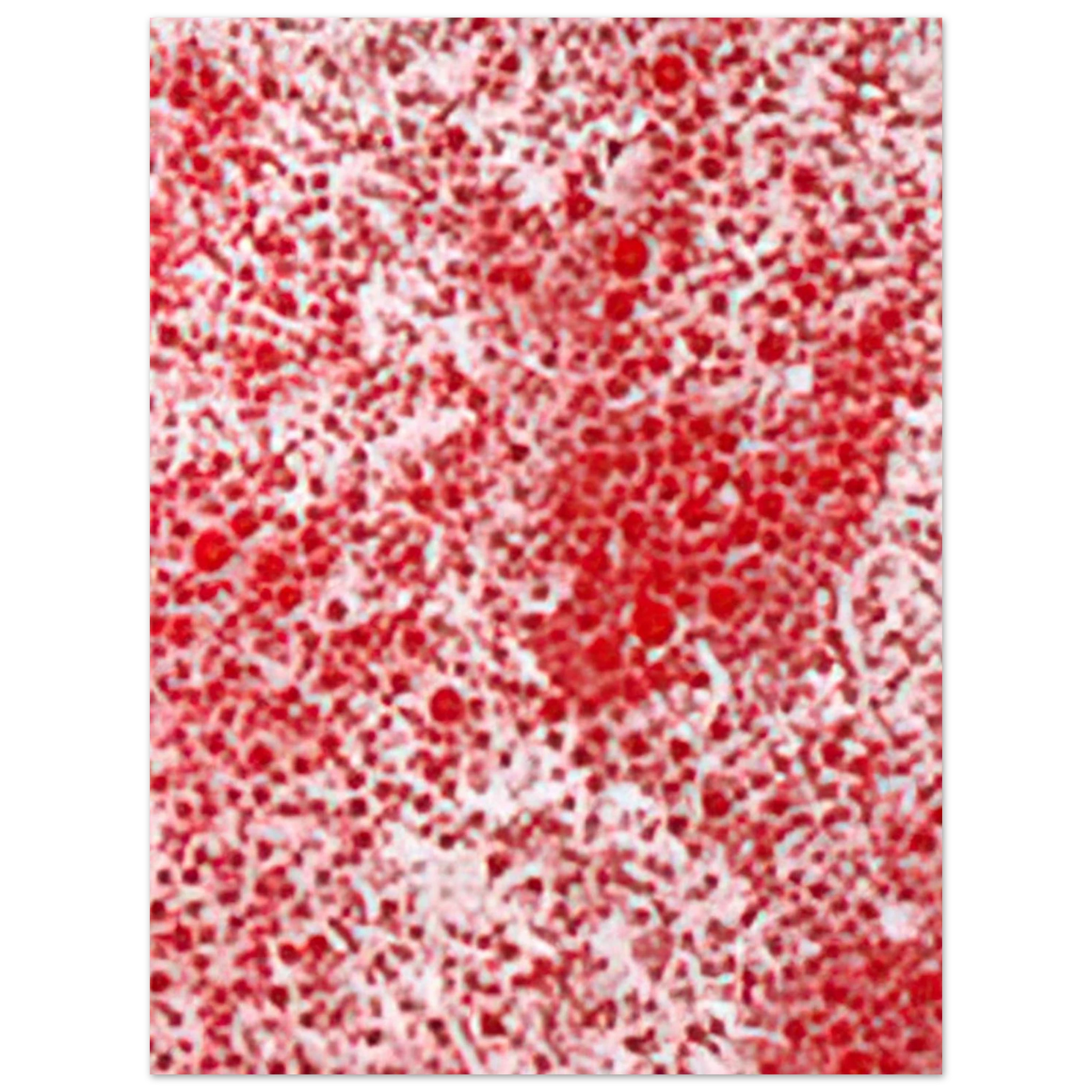 ba9d6acd-8147-4c00-a111-e7bd359d94b6