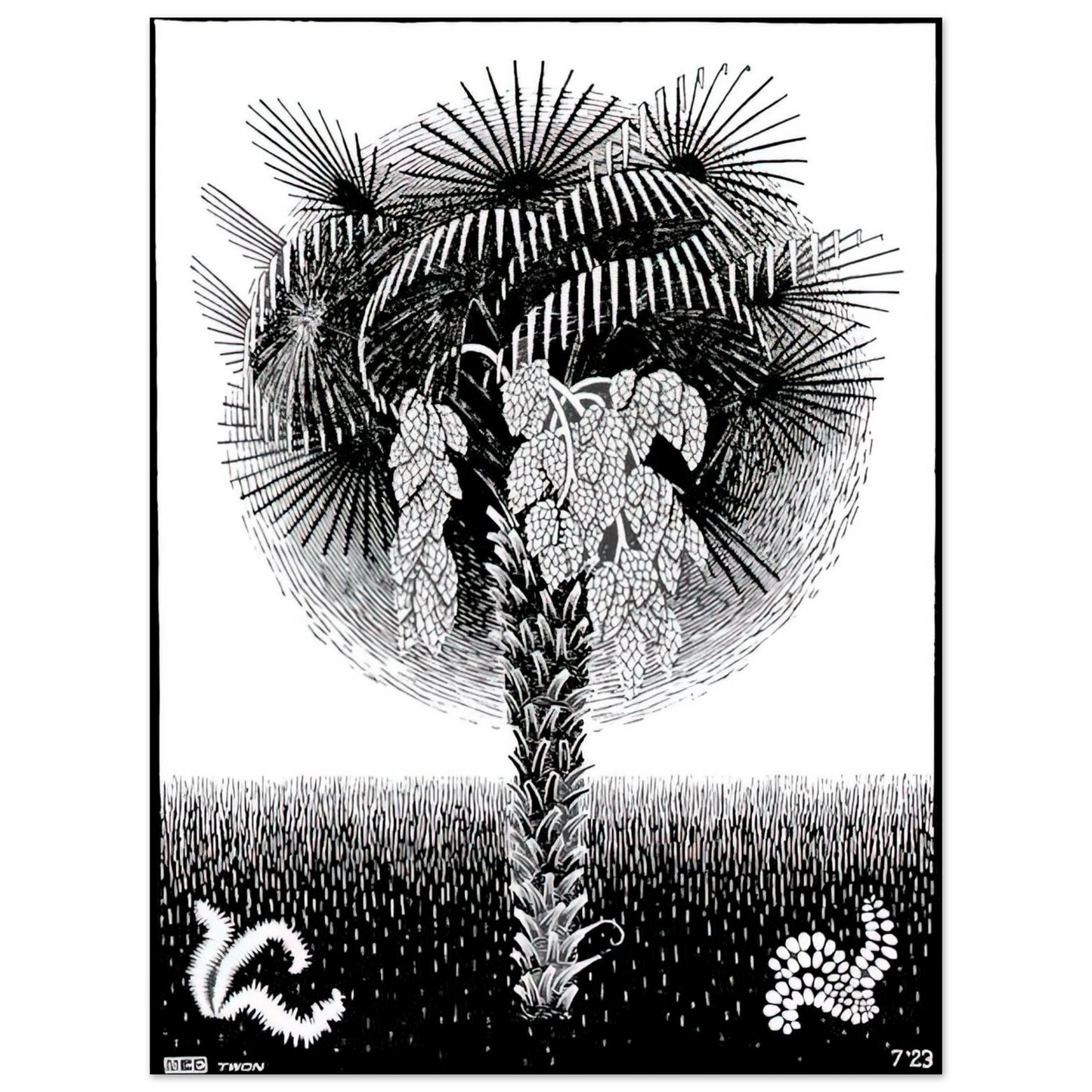 baa74b4e-a9a5-4b77-9558-26e4908a6f44