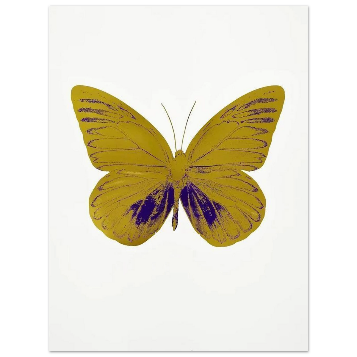 c2025e57-e7ed-49c3-bcff-54c9eab7b7de