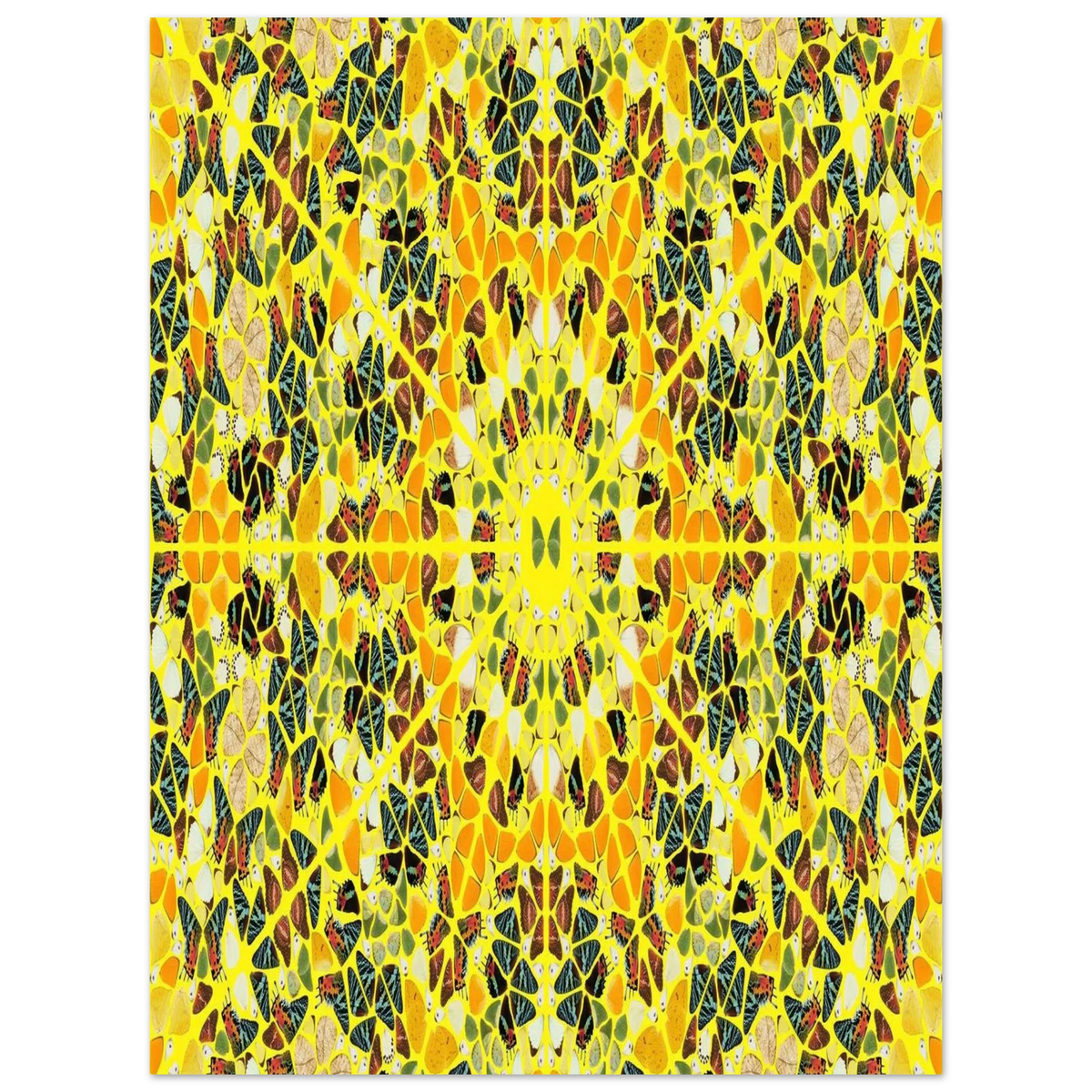 c3285539-e141-487c-8756-f64c03edc9fa