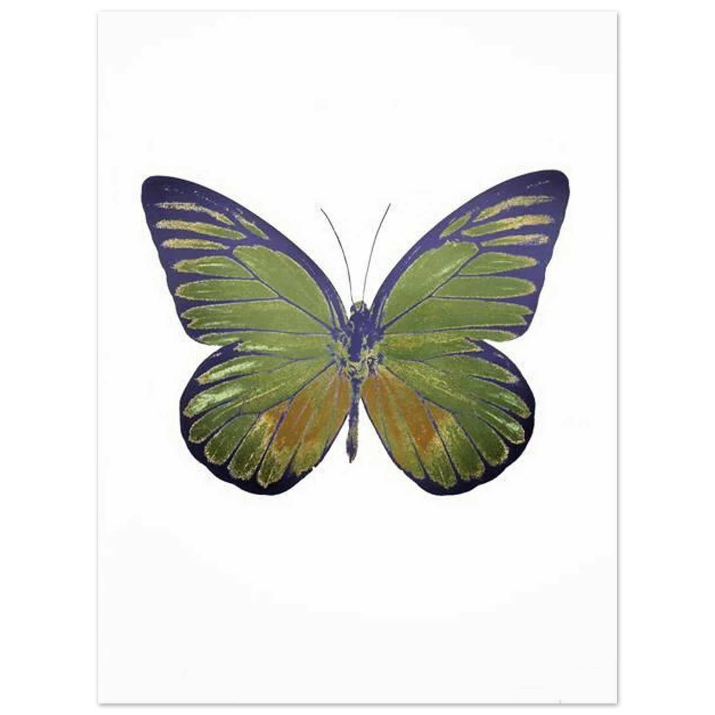 c32b8079-cdcb-422f-98b9-bc317b050bef