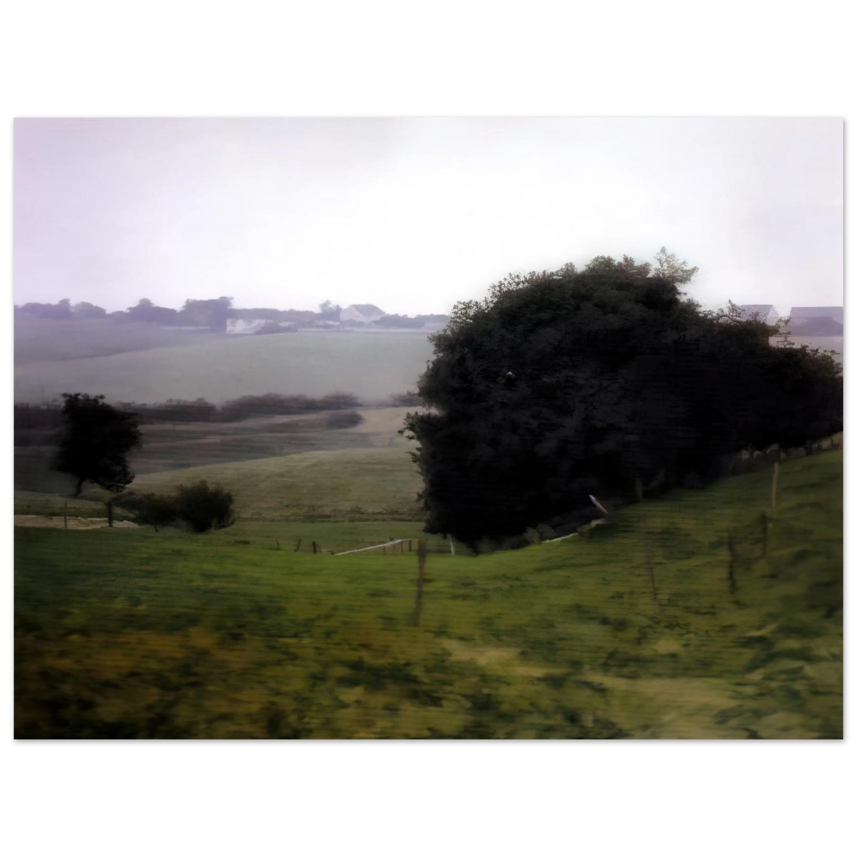 c8b507e7-0e65-4ba7-81f7-d78ed6542de2