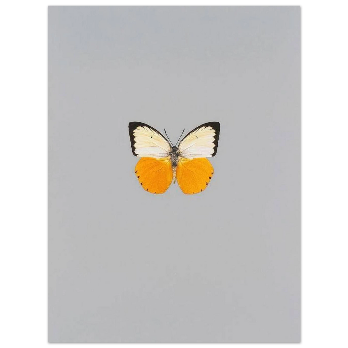 cad16b00-499d-40fb-a690-8e33665d849f